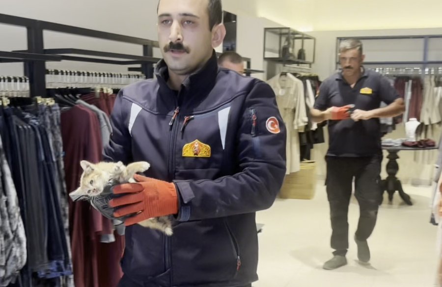 Polis Ve İtfaiyenin Kedi Kurtarma Operasyonu