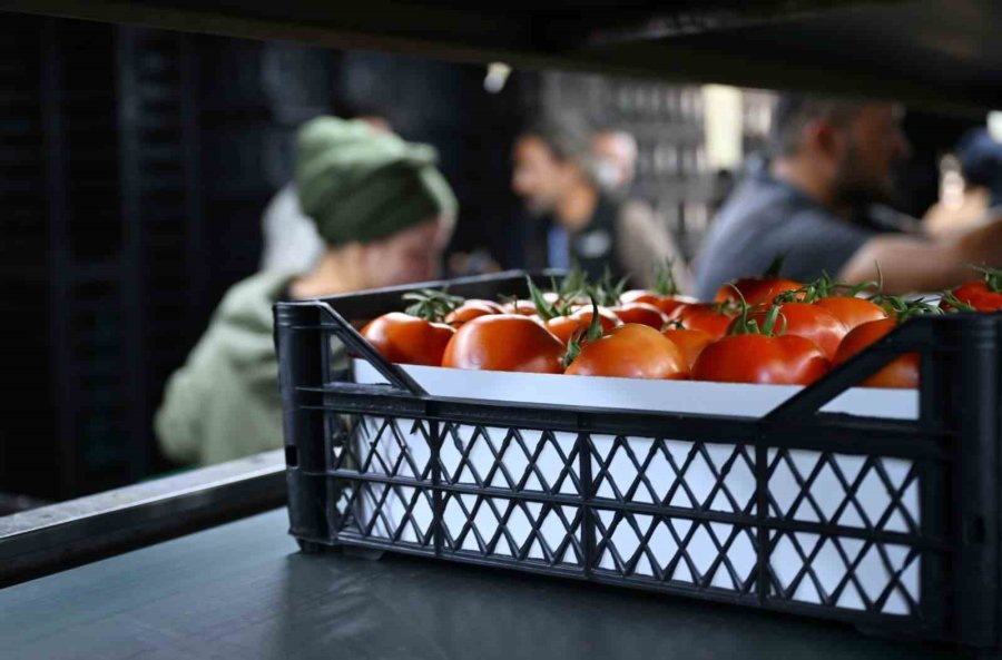 Antalya Toptancı Hali’nde Çalışma Saatlerinde Değişikliğe Gidildi