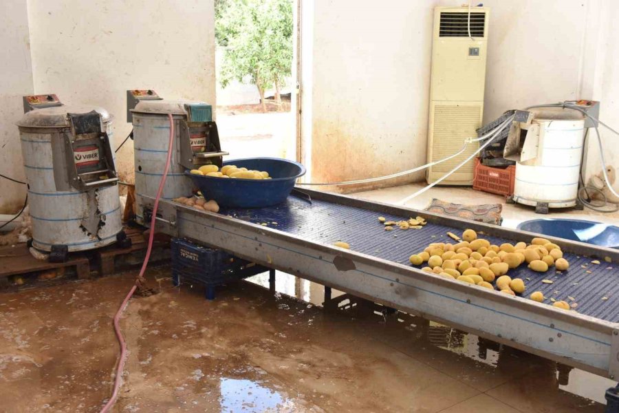 Otel Ve Restoranlara Verilen 1,5 Ton İşlenmiş Patates İmha Edildi