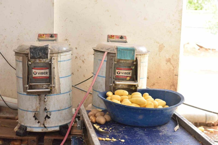 Otel Ve Restoranlara Verilen 1,5 Ton İşlenmiş Patates İmha Edildi