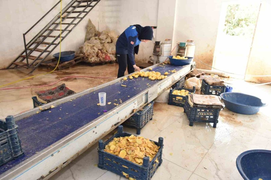 Otel Ve Restoranlara Verilen 1,5 Ton İşlenmiş Patates İmha Edildi