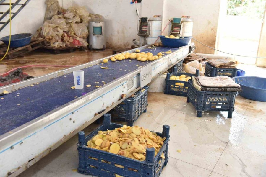 Otel Ve Restoranlara Verilen 1,5 Ton İşlenmiş Patates İmha Edildi