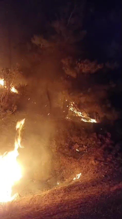 Gazipaşa’da Ormanlık Alanda Yangın