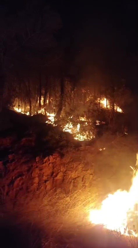 Gazipaşa’da Ormanlık Alanda Yangın