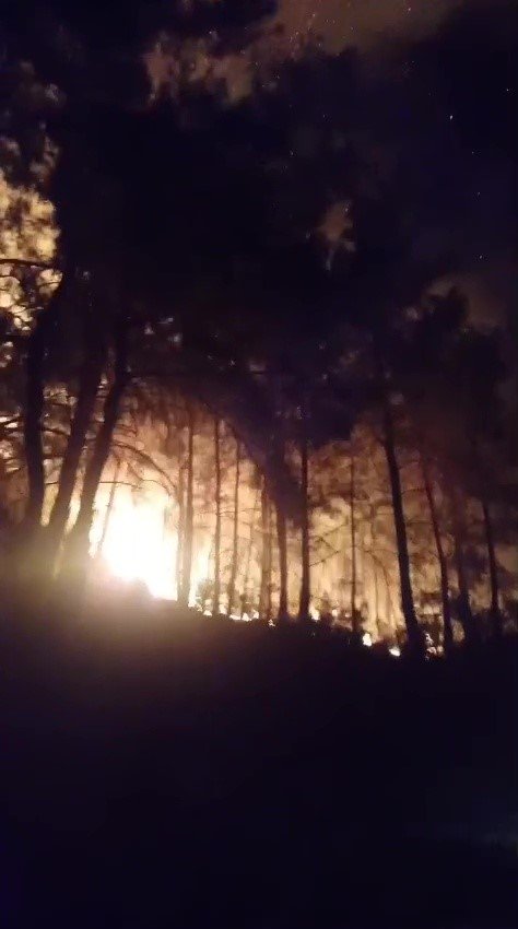 Gazipaşa’da Ormanlık Alanda Yangın