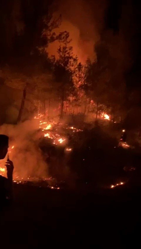 Gazipaşa’da Ormanlık Alanda Yangın
