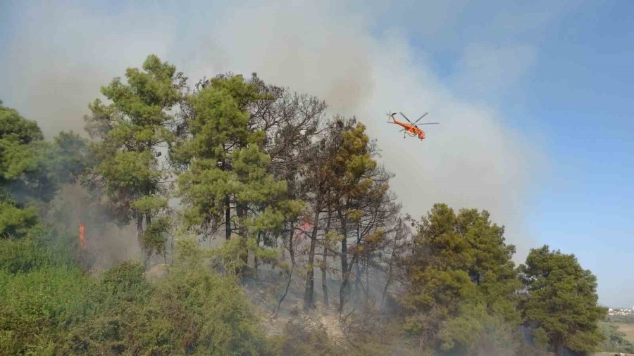 Orman Yangınında Uçaktan Atılan Su Gökkuşağı Oluşturdu