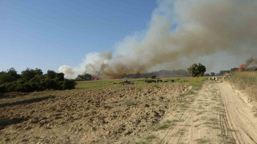 Orman Yangınında Uçaktan Atılan Su Gökkuşağı Oluşturdu