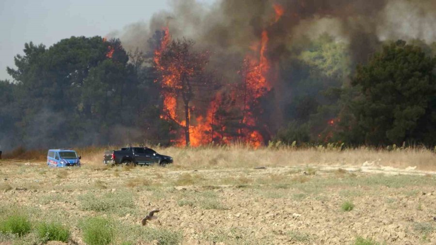 Orman Yangınında Uçaktan Atılan Su Gökkuşağı Oluşturdu