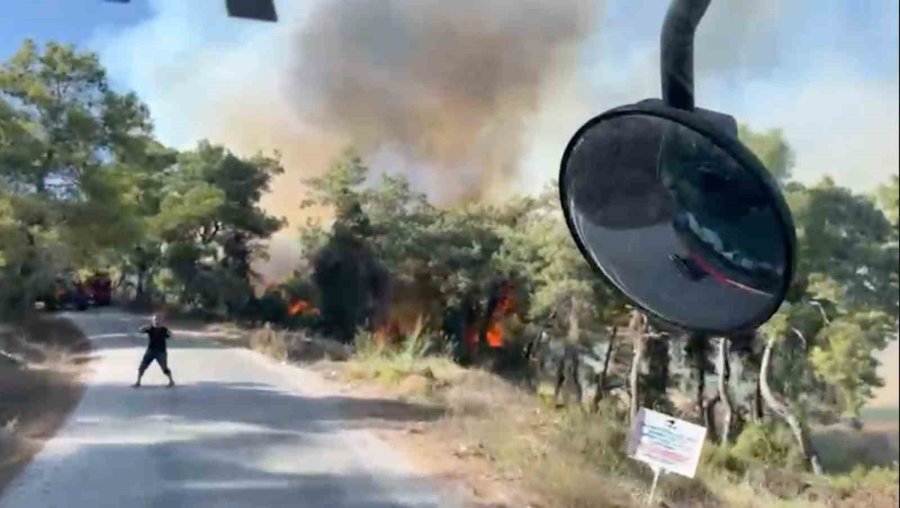 Manavgat’ta Arazide Başlayan Yangın Ormanlık Alana Sıçradı