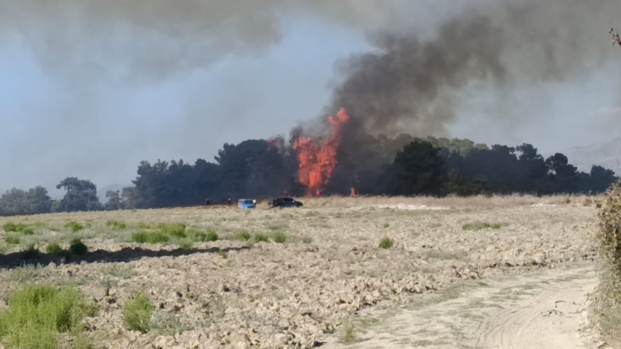 Manavgat’ta Arazide Başlayan Yangın Ormanlık Alana Sıçradı