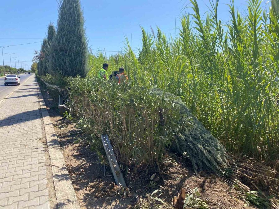 Yoldan Çıkan Otomobilin Motoruna Demir Bariyer Saplandı: 1 Yaralı