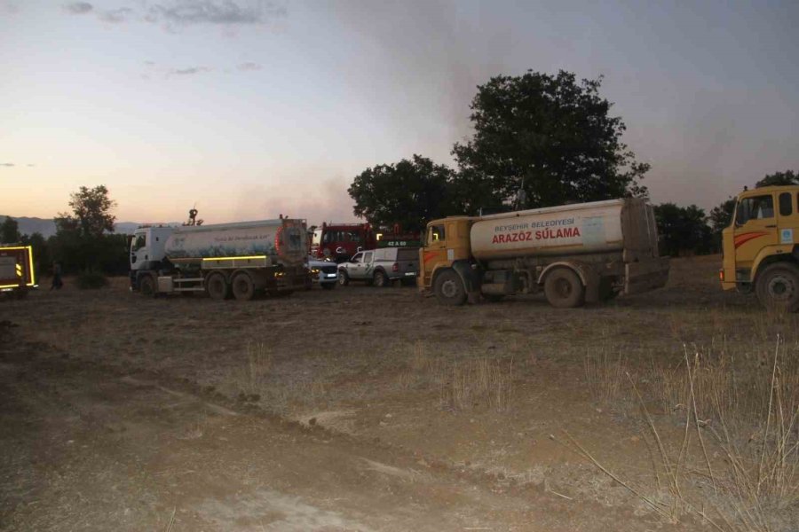 Sazlık Alanda Çıkan Yangın Ormana Sıçradı