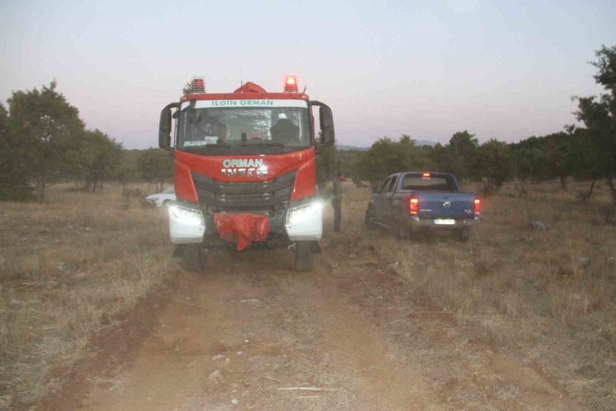 Sazlık Alanda Çıkan Yangın Ormana Sıçradı