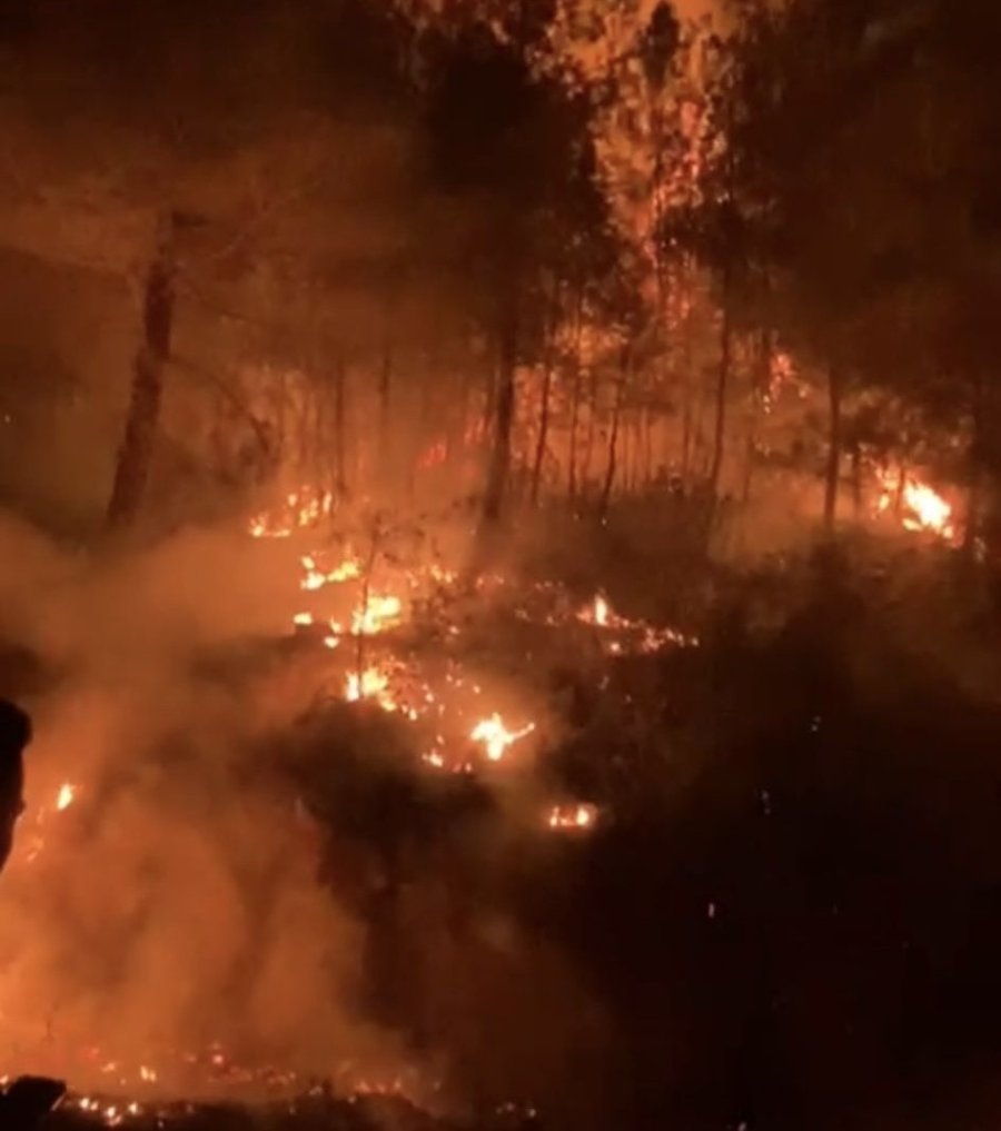 Gazipaşa’da Ormanlık Alanda Çıkan Yangın Kontrol Altına Alındı