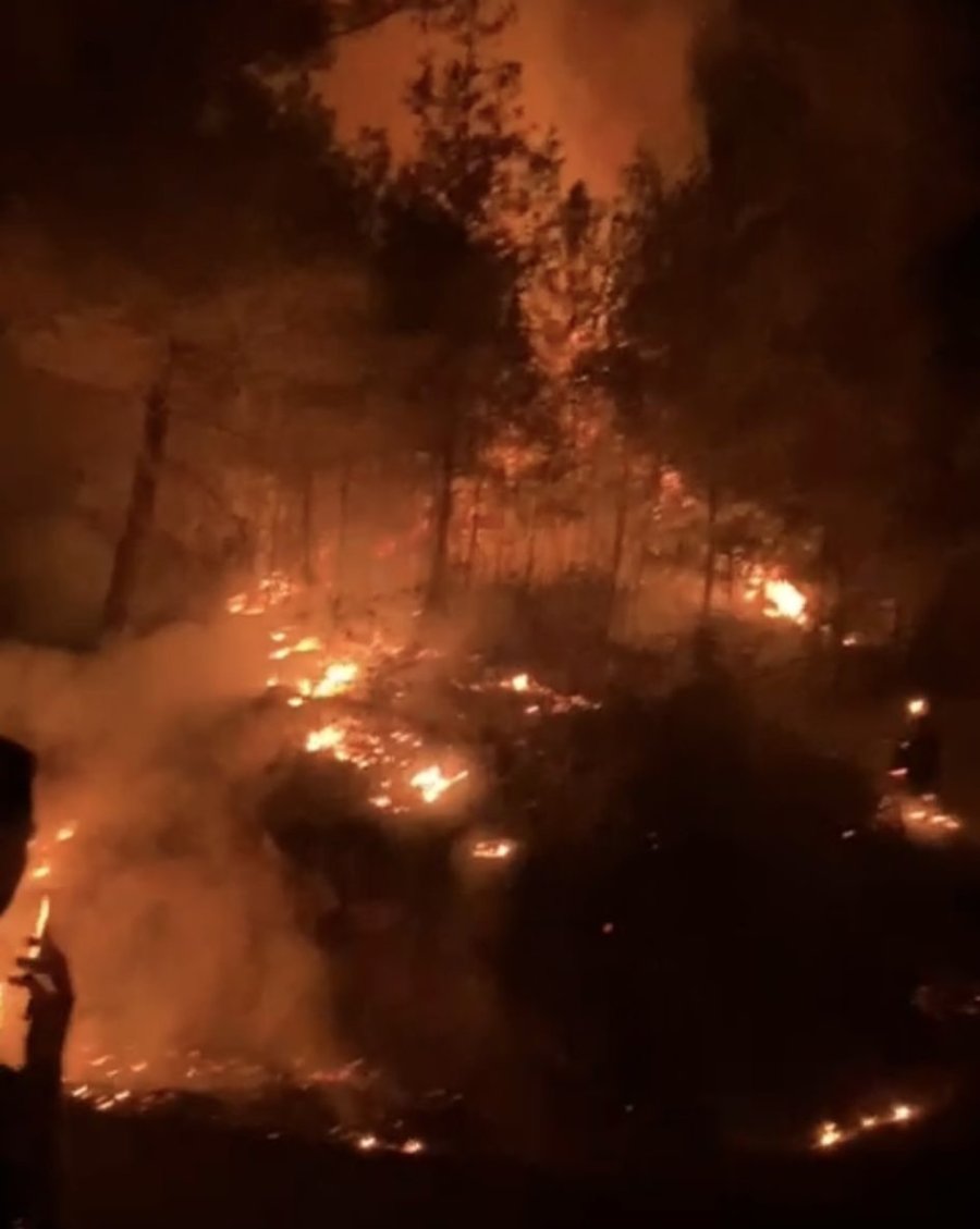 Gazipaşa’da Ormanlık Alanda Çıkan Yangın Kontrol Altına Alındı