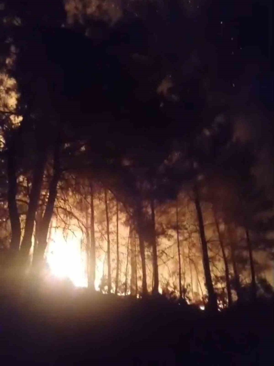 Gazipaşa’da Ormanlık Alanda Çıkan Yangın Kontrol Altına Alındı