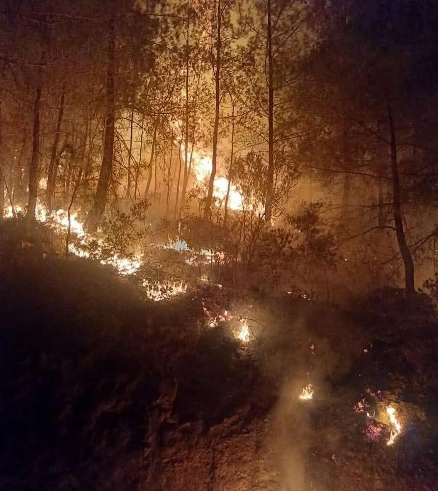 Gazipaşa’da Ormanlık Alanda Çıkan Yangın Kontrol Altına Alındı