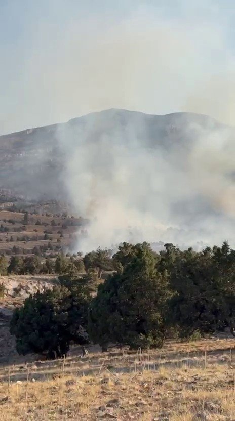 Karaman’da Çıkan Örtü Yangını Ağaçlık Alana Sıçradı
