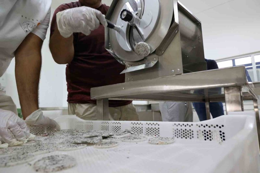 Ejder Meyvesi En Çok Kurutulan Ürünler Arasına Girdi