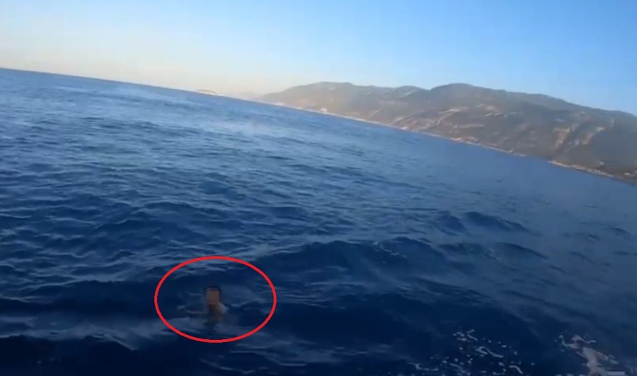 Hapis Cezası İle Aranıyordu, Yunan Adasına Yüzerek Kaçmaya Çalışırken Yakalandı