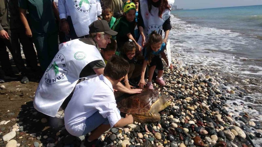 Tedavileri Tamamlanan 5 Deniz Kaplumbağası Denizle Buluştu