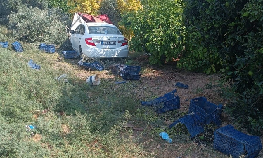 Otomobil Bahçeye Daldı: Hasat Yapan İşçilerden 1’i Öldü, 3’ü Yaralandı