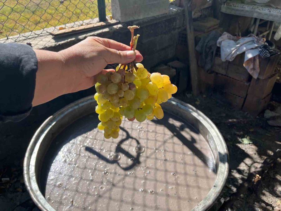 50 Kiloluk Kazanlarda 1 Litre Külle Kaynatılıyor, Kilosu 500 Liradan Satılıyor