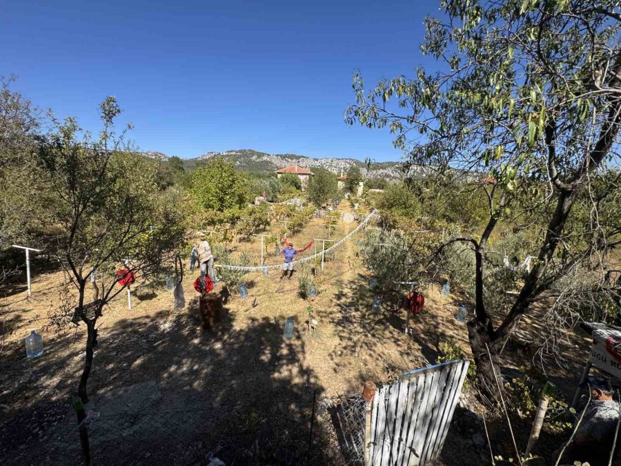 50 Kiloluk Kazanlarda 1 Litre Külle Kaynatılıyor, Kilosu 500 Liradan Satılıyor