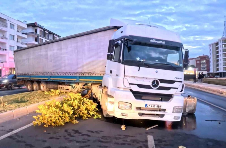 Kediyi Kurtardı Ama Kazadan Kaçamadı