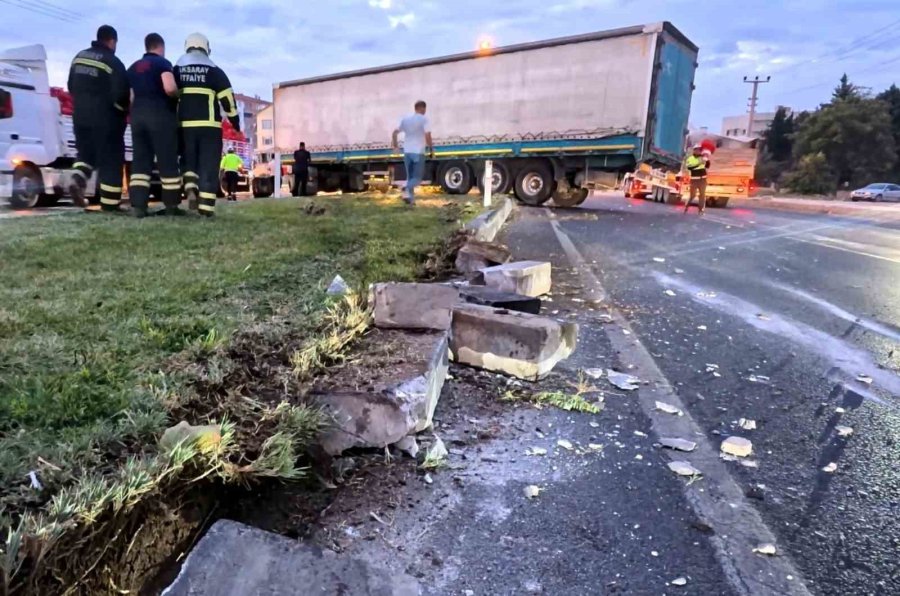 Kediyi Kurtardı Ama Kazadan Kaçamadı