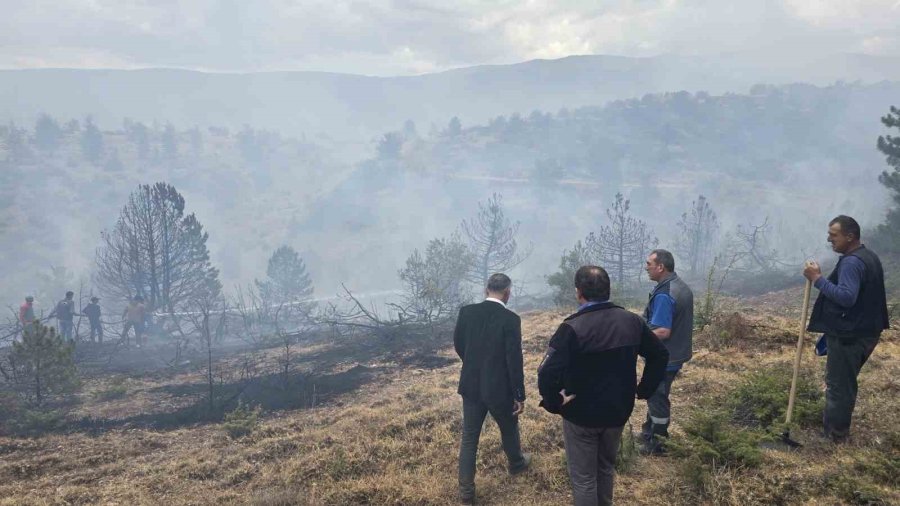 Konya’da Ormanlık Alanda Çıkan Yangın Söndürüldü