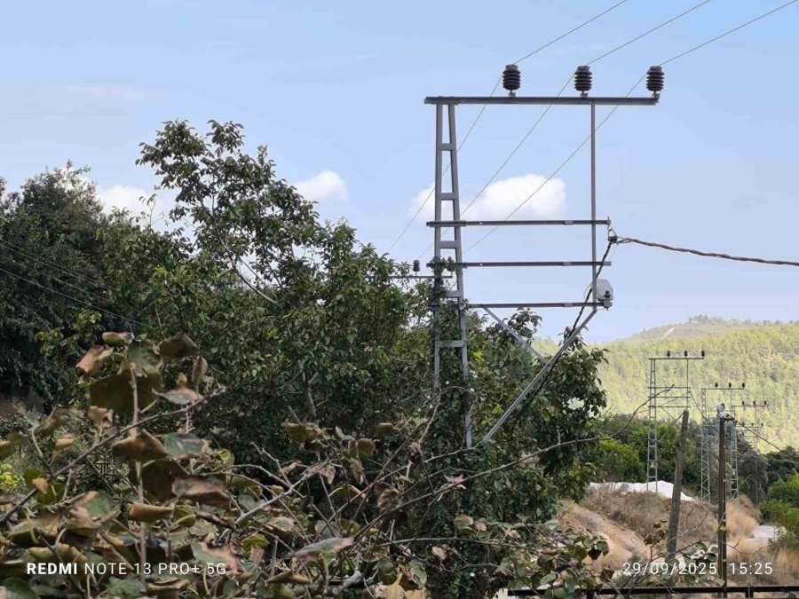 Yeni Nişanlı Çifti Ölüm Ayırdı: Önce Elektrik Çarptı, Sonra Trafik Kazası Geçirdiler
