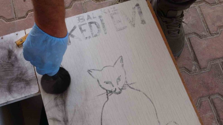 Mahalleli Ve Cami Cemaatinin Baktığı Kedilerin Evlerini Çöpe Attılar