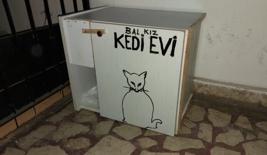 Mahalleli Ve Cami Cemaatinin Baktığı Kedilerin Evlerini Çöpe Attılar