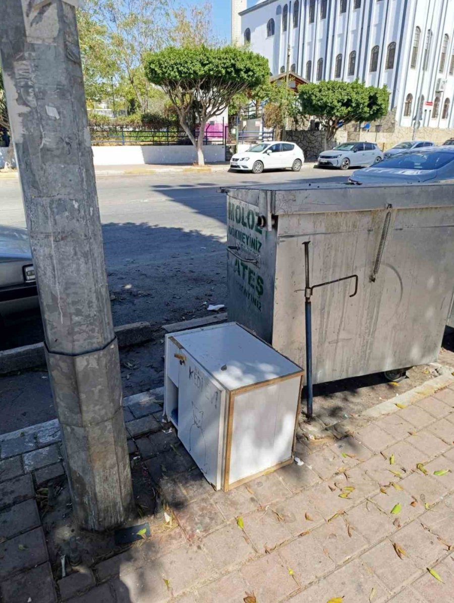 Mahalleli Ve Cami Cemaatinin Baktığı Kedilerin Evlerini Çöpe Attılar