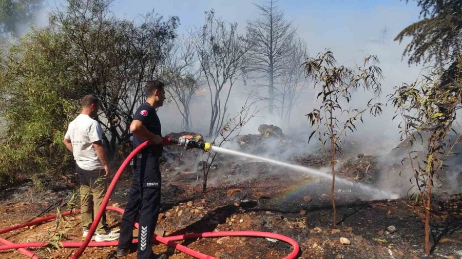 Otluk Alanda Çıkan Yangın Büyümeden Söndürüldü