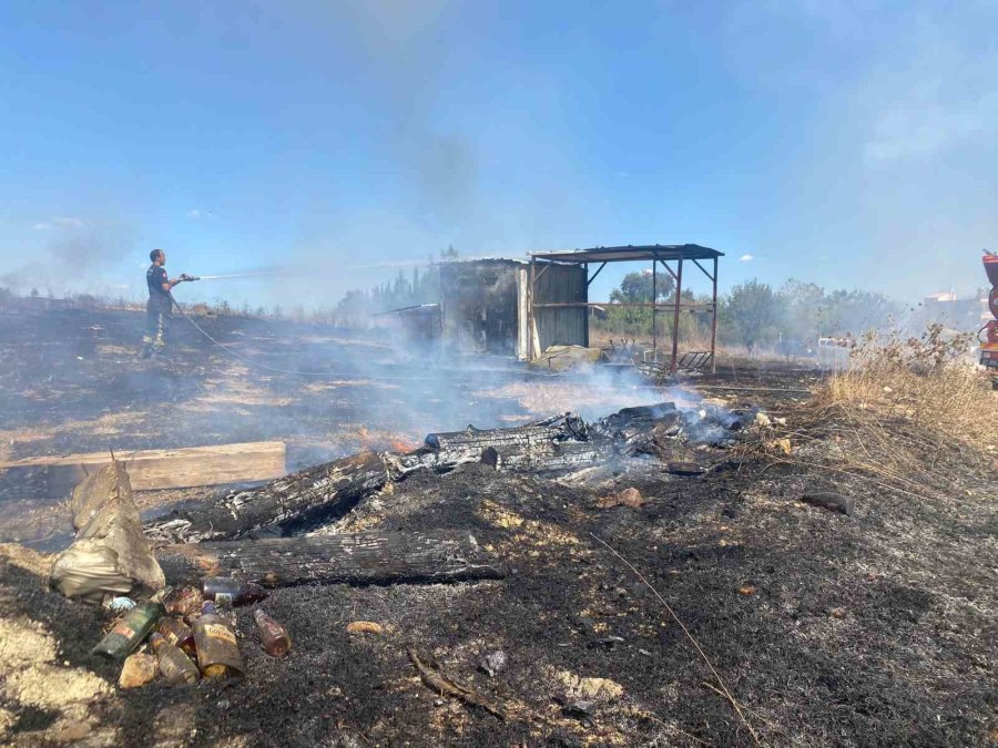 Kulübede Çıkan Yangında 25 Güvercin Yanarak Telef Oldu