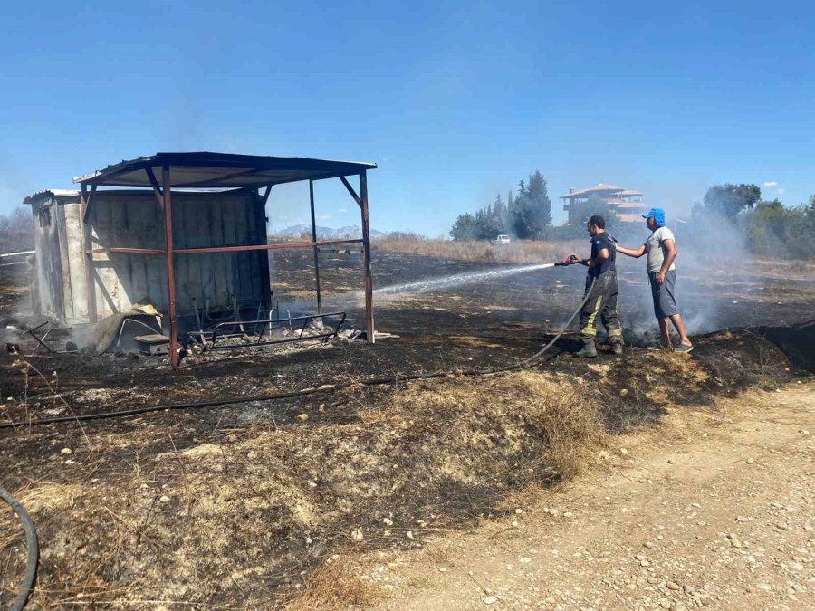 Kulübede Çıkan Yangında 25 Güvercin Yanarak Telef Oldu