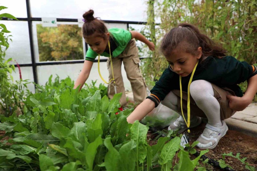 Karatay Trafik Eğitim Parkı Ve Tabiat Mektebi’nde Yeni Dönemde 16 Bin Öğrenci Eğitim Alacak