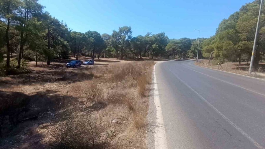 Manavgat’ta Virajı Alamayan Motosikletli Ağaca Çarptı: 2 Yaralı