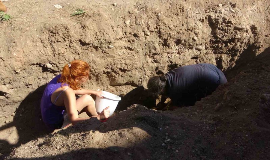 Yaklaşık 16 Metrelik Balinanın İskeleti Gün Yüzüne Çıkarılmaya Başladı