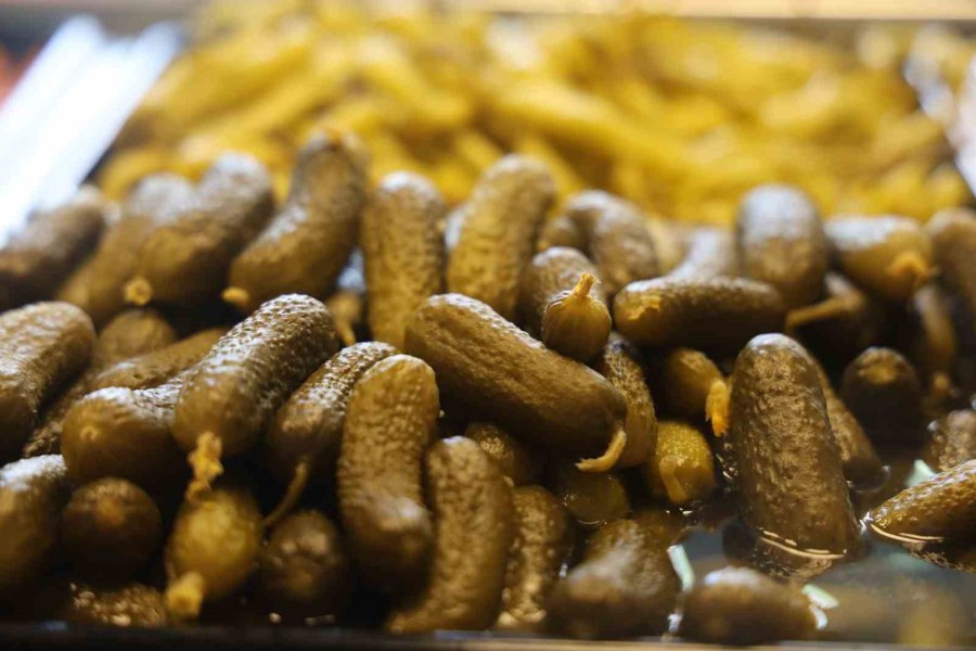 Tam 4 Bin Yıllık Doğal Salgın Savaşçısı: "turşu"