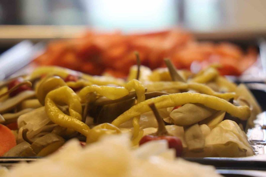 Tam 4 Bin Yıllık Doğal Salgın Savaşçısı: "turşu"