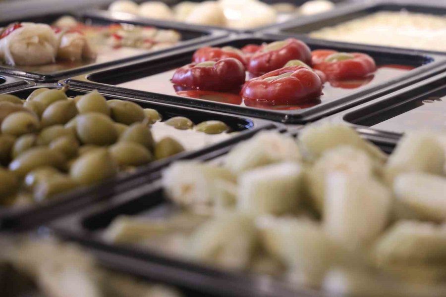 Tam 4 Bin Yıllık Doğal Salgın Savaşçısı: "turşu"