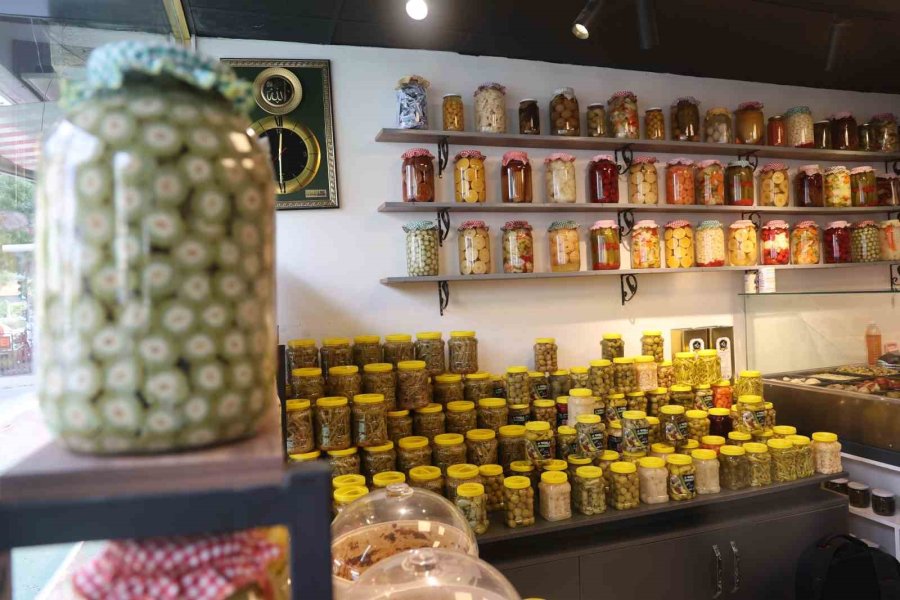 Tam 4 Bin Yıllık Doğal Salgın Savaşçısı: "turşu"