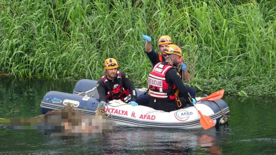 Su Teresi Toplarken, Otlara Takılmış Şekilde Ceset Buldular