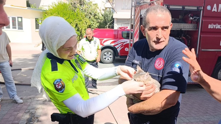 Yangında Telef Olduğu Sanılan Kedi Dolabın Arkasında Saklanırken Bulundu