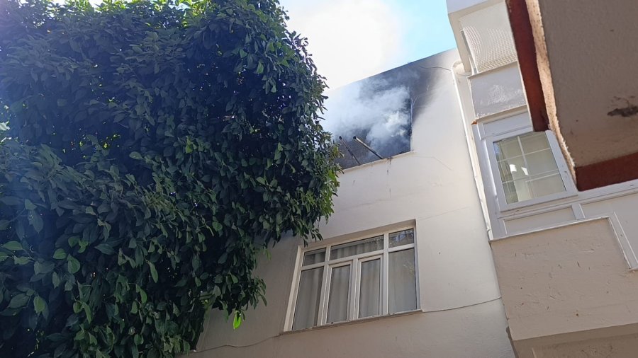 Yangında Telef Olduğu Sanılan Kedi Dolabın Arkasında Saklanırken Bulundu