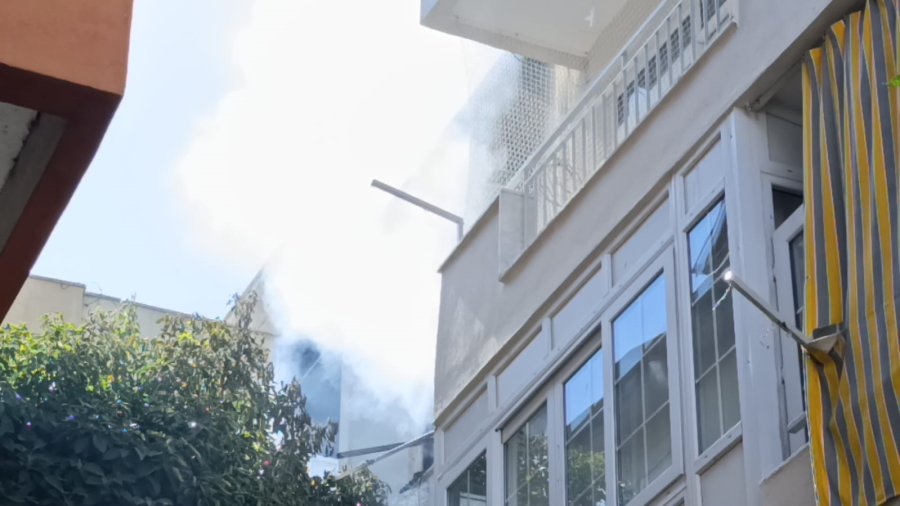 Yangında Telef Olduğu Sanılan Kedi Dolabın Arkasında Saklanırken Bulundu